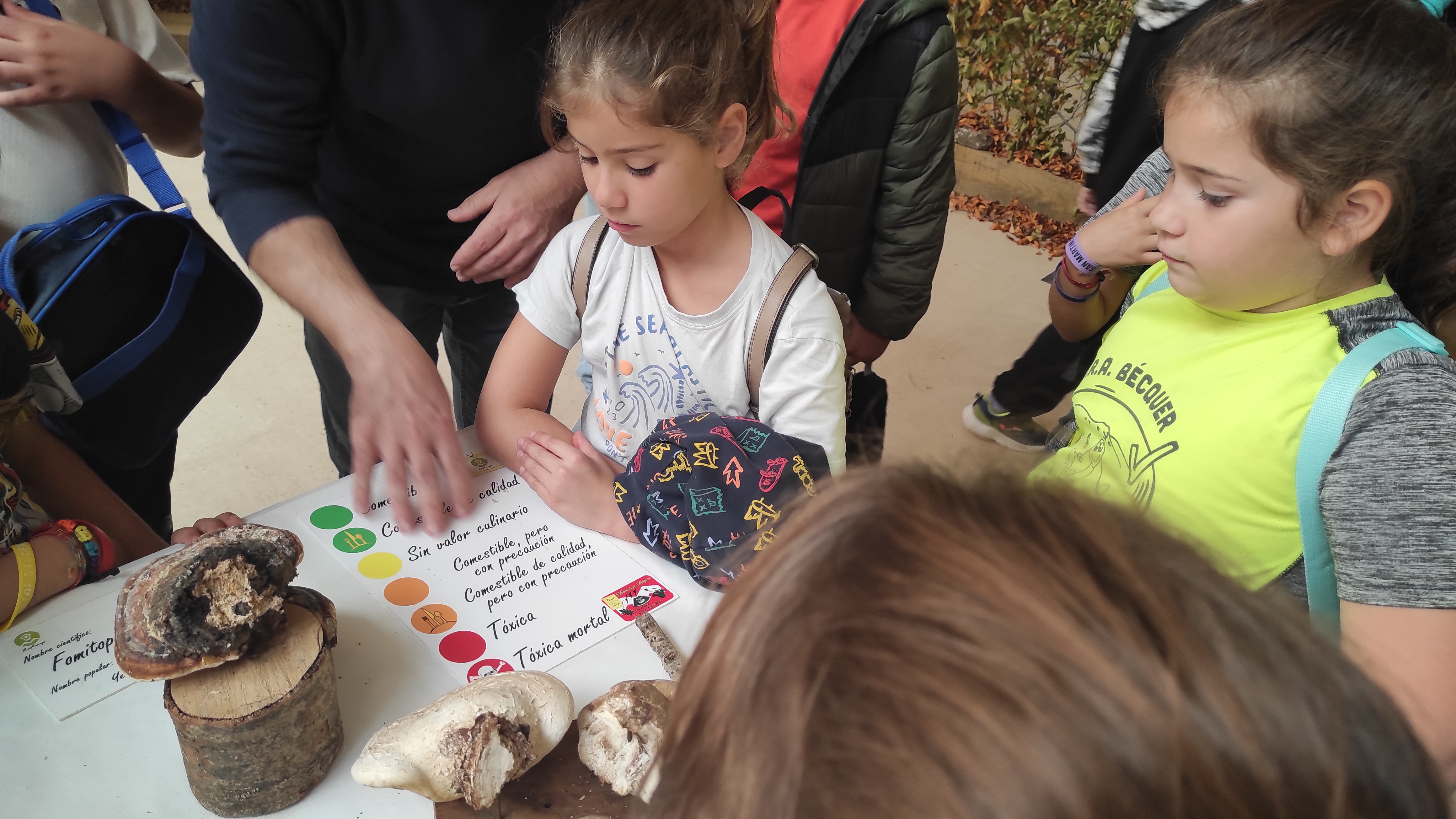 Copia de IMG_20251030_122704.jpg